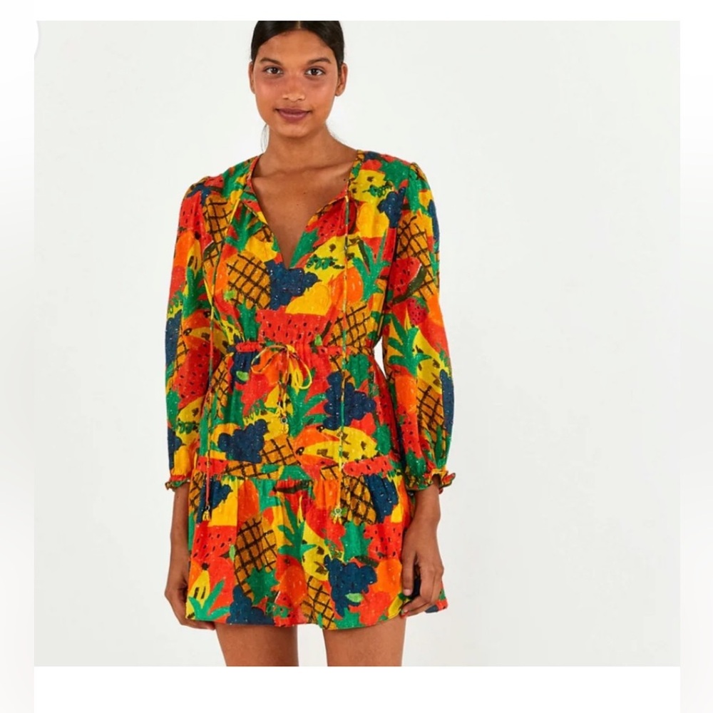 Size small fruit mini dress FARM RIO